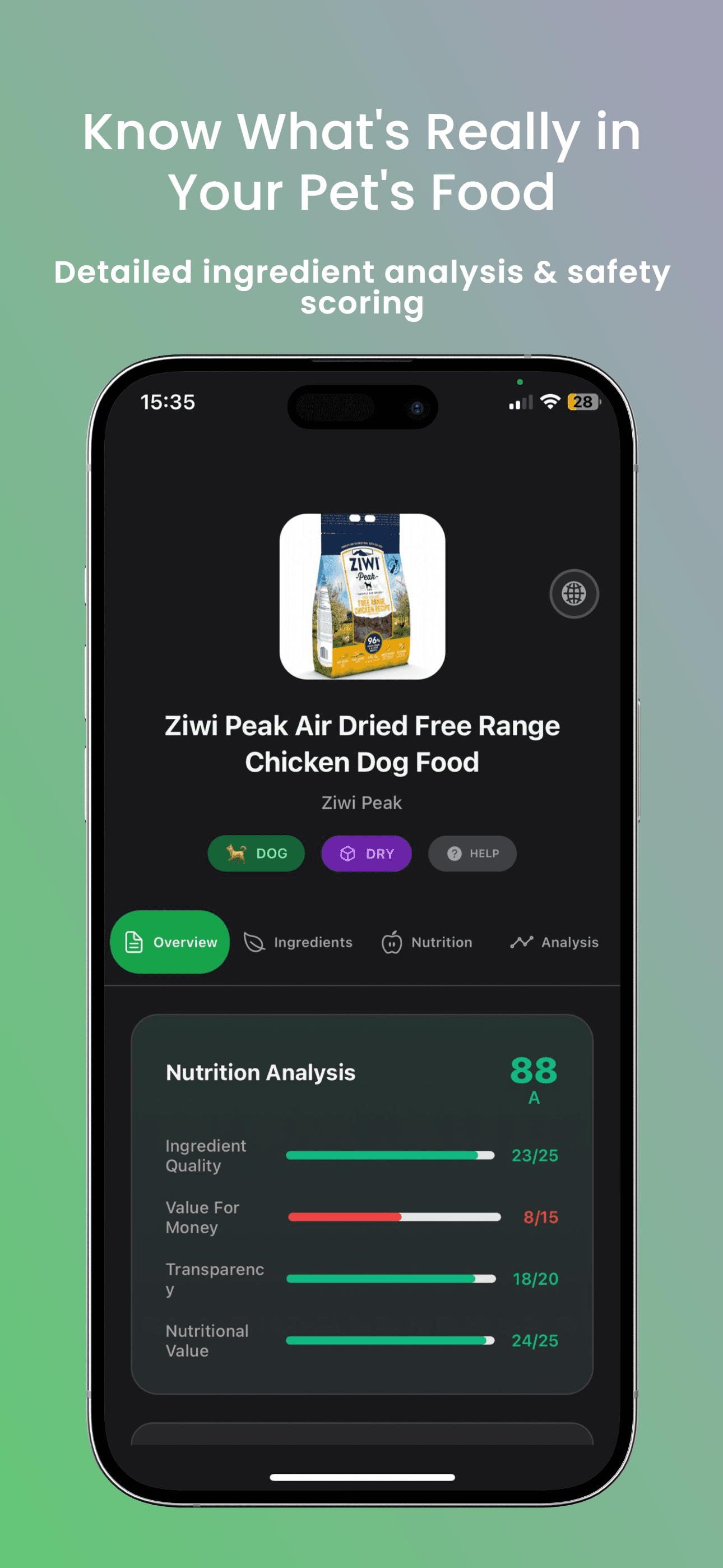 View Insights